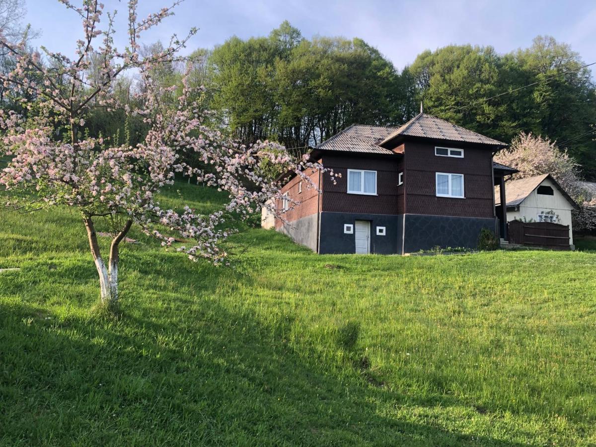 Cabana Hatere Moisei Exterior photo